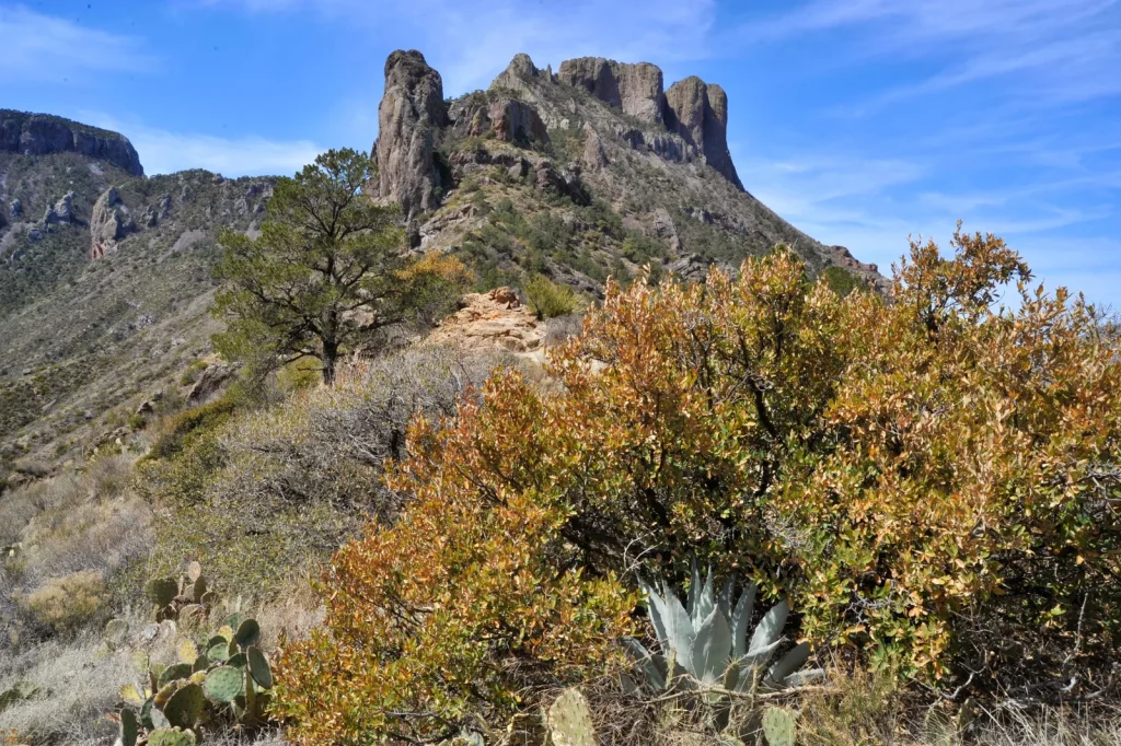 Lost Mine Trail