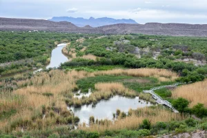A view looking out over a wetland pond, the Rio Grande, and the Chisos Mountains in the distance.