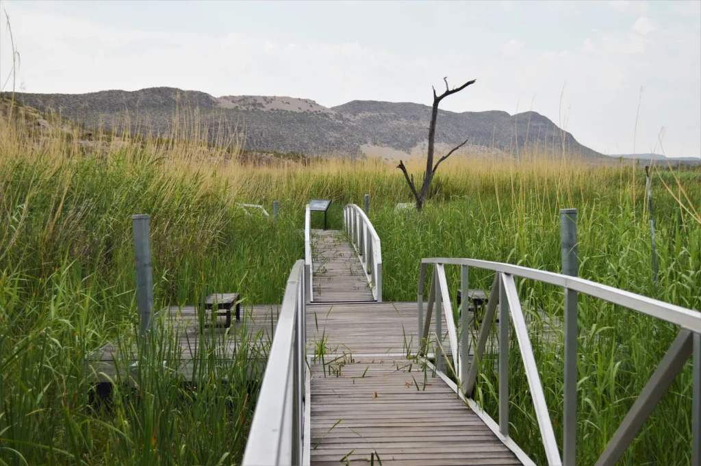 Rio Grande Village Nature Trail Stop #1