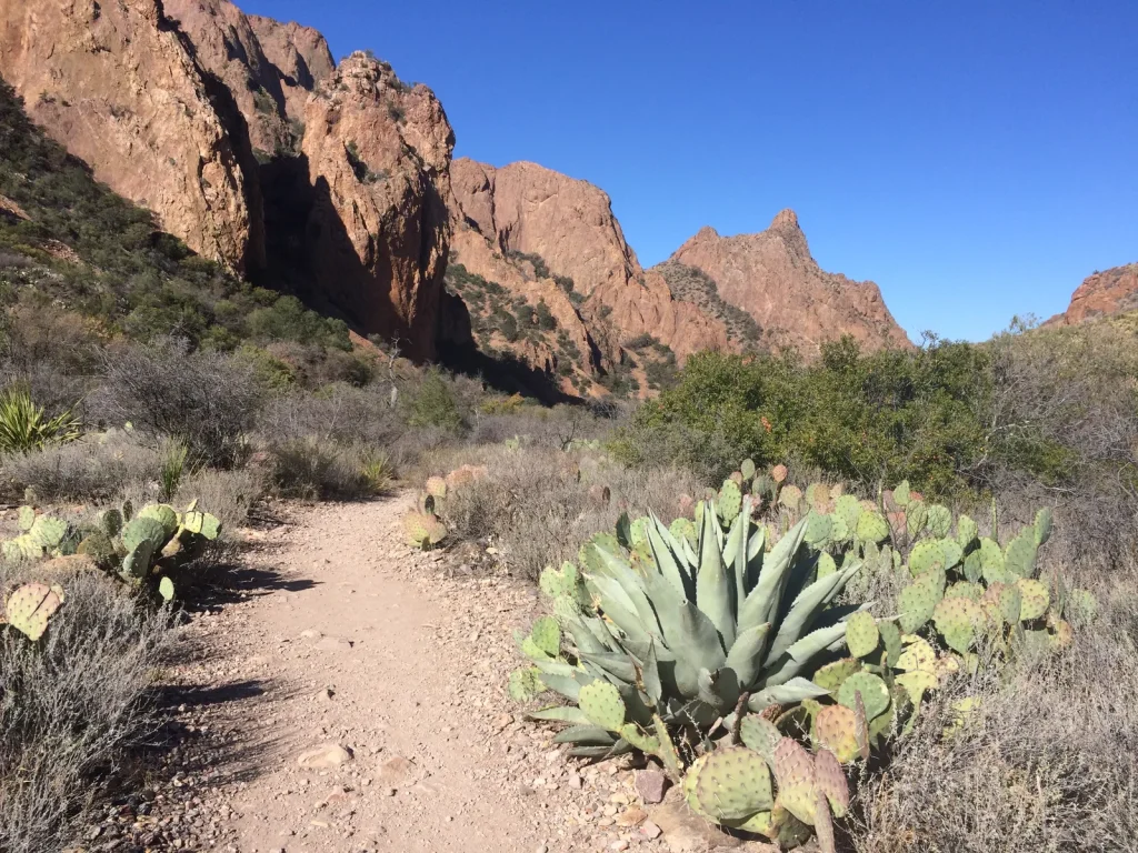 The Window Trail