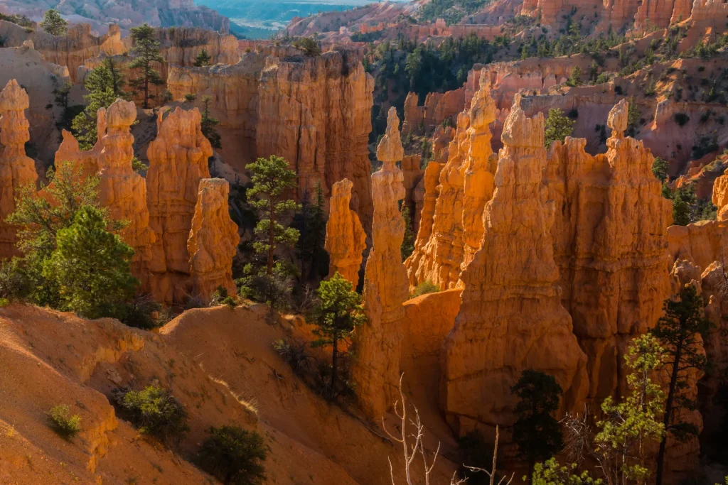 Fairyland Loop