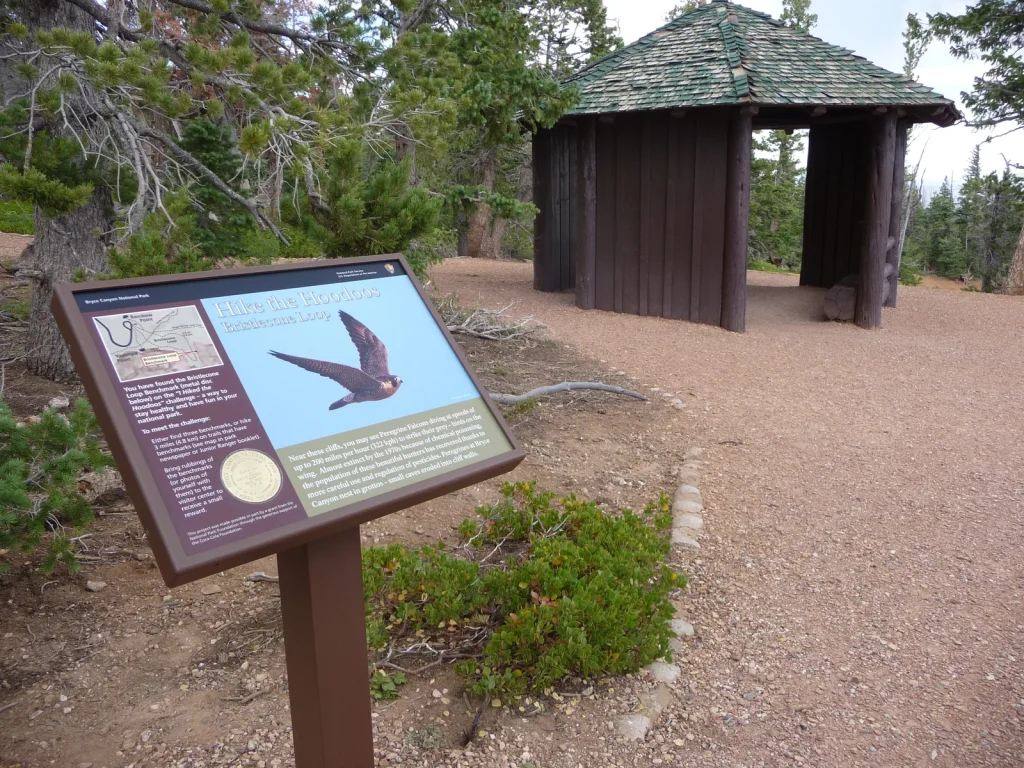 Hike the Hoodoos