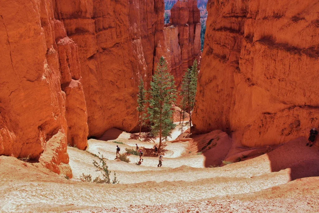 Navajo Loop Trail