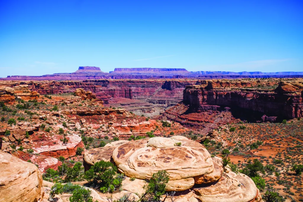 Slickrock Trail