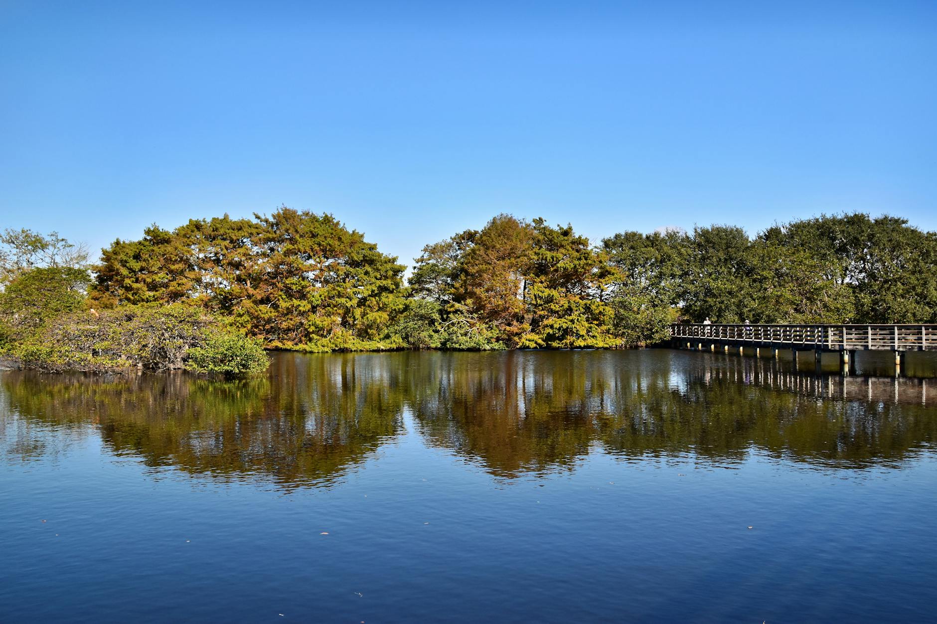Peaceful view of a serene lake with a boardwalk in Delray Beach, Florida.