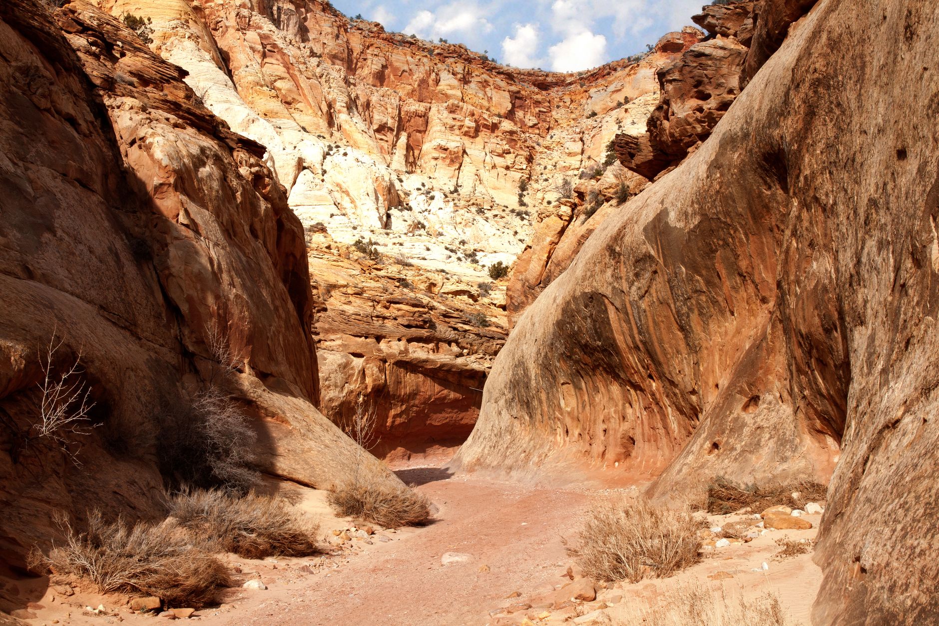 Explore a breathtaking desert canyon with rugged cliffs and a winding footpath.