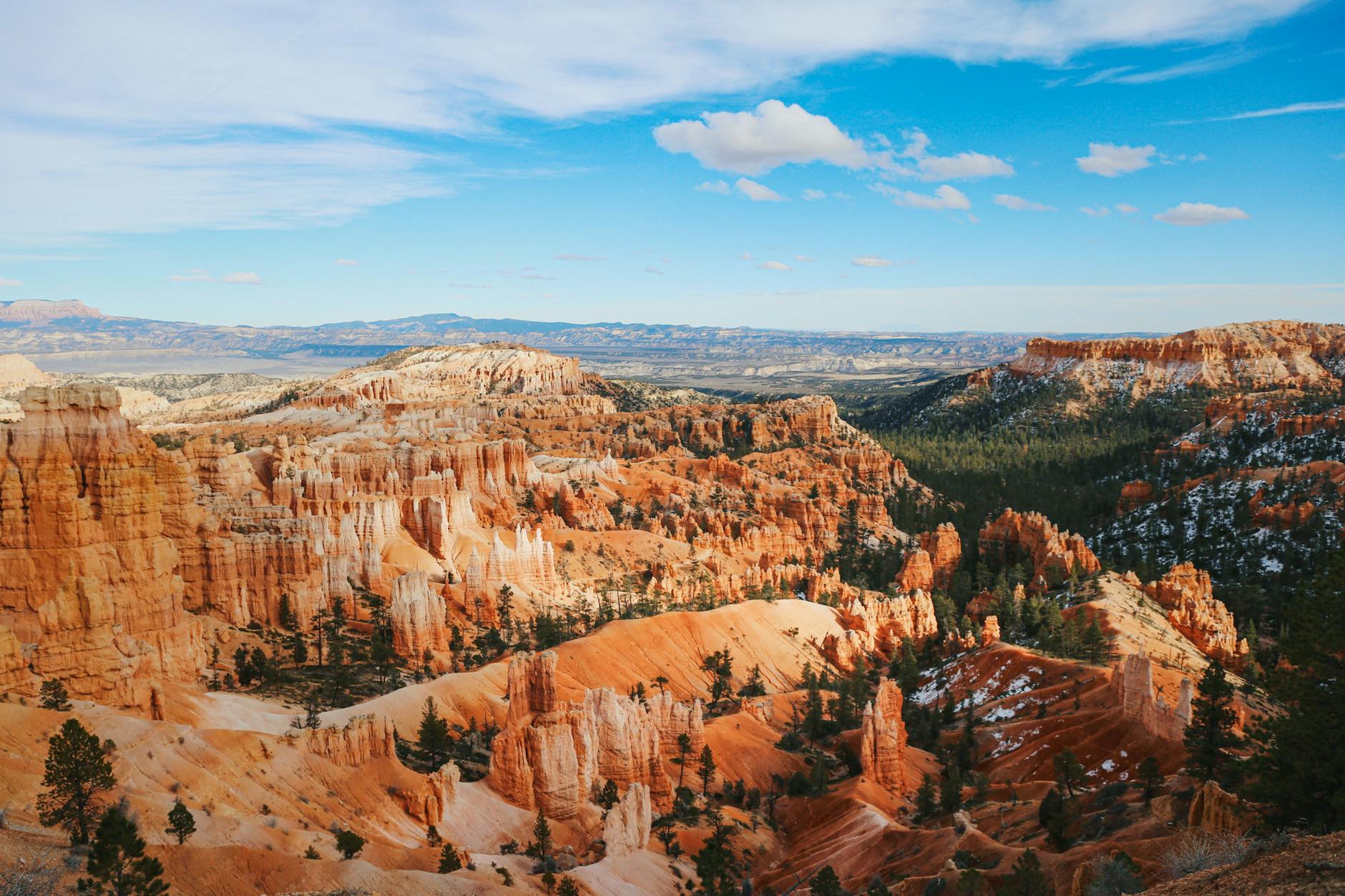 Stunning overlook of Bryce Canyon's unique rock formations and vibrant landscape.