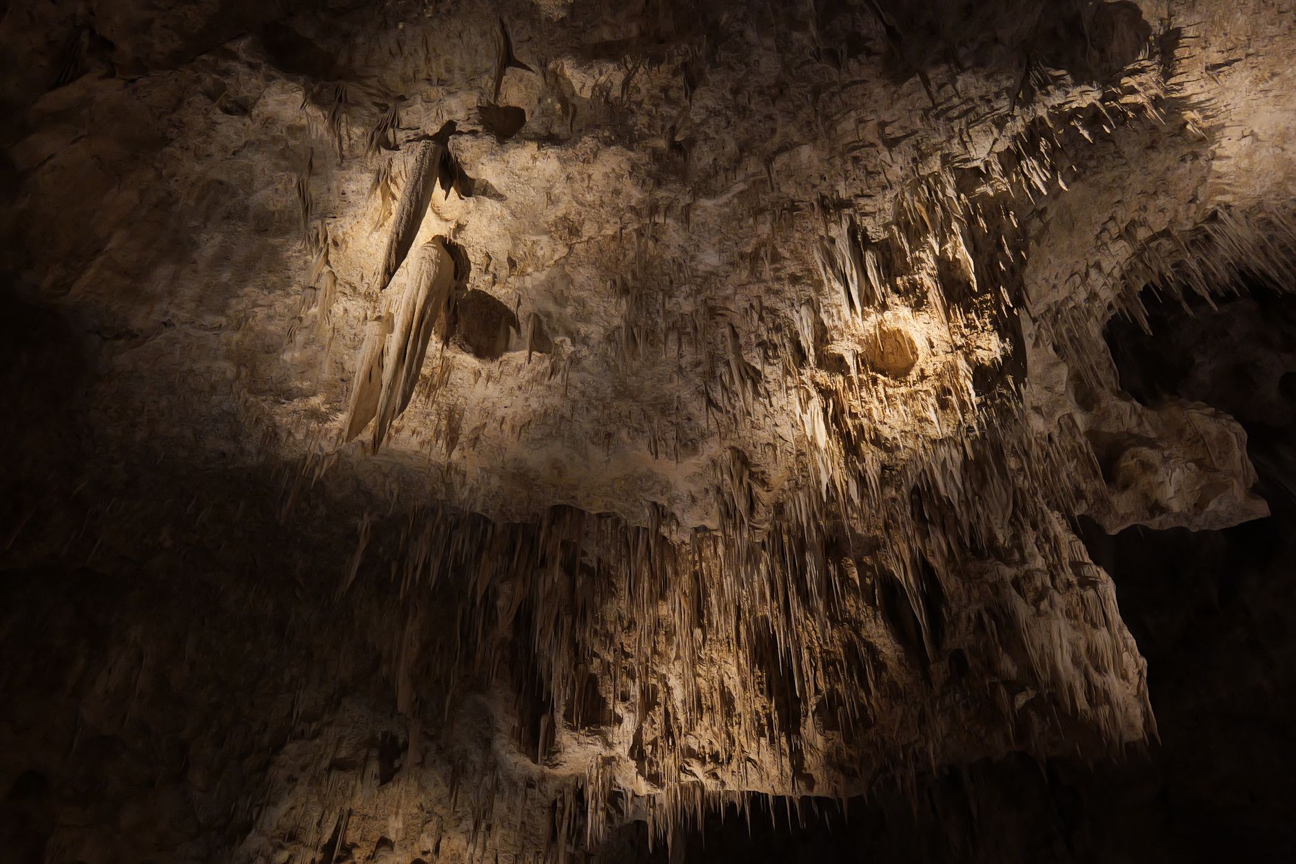 Explore the intricate rock formations in Carlsbad Caverns, showcasing stunning stalactites and stalagmites.