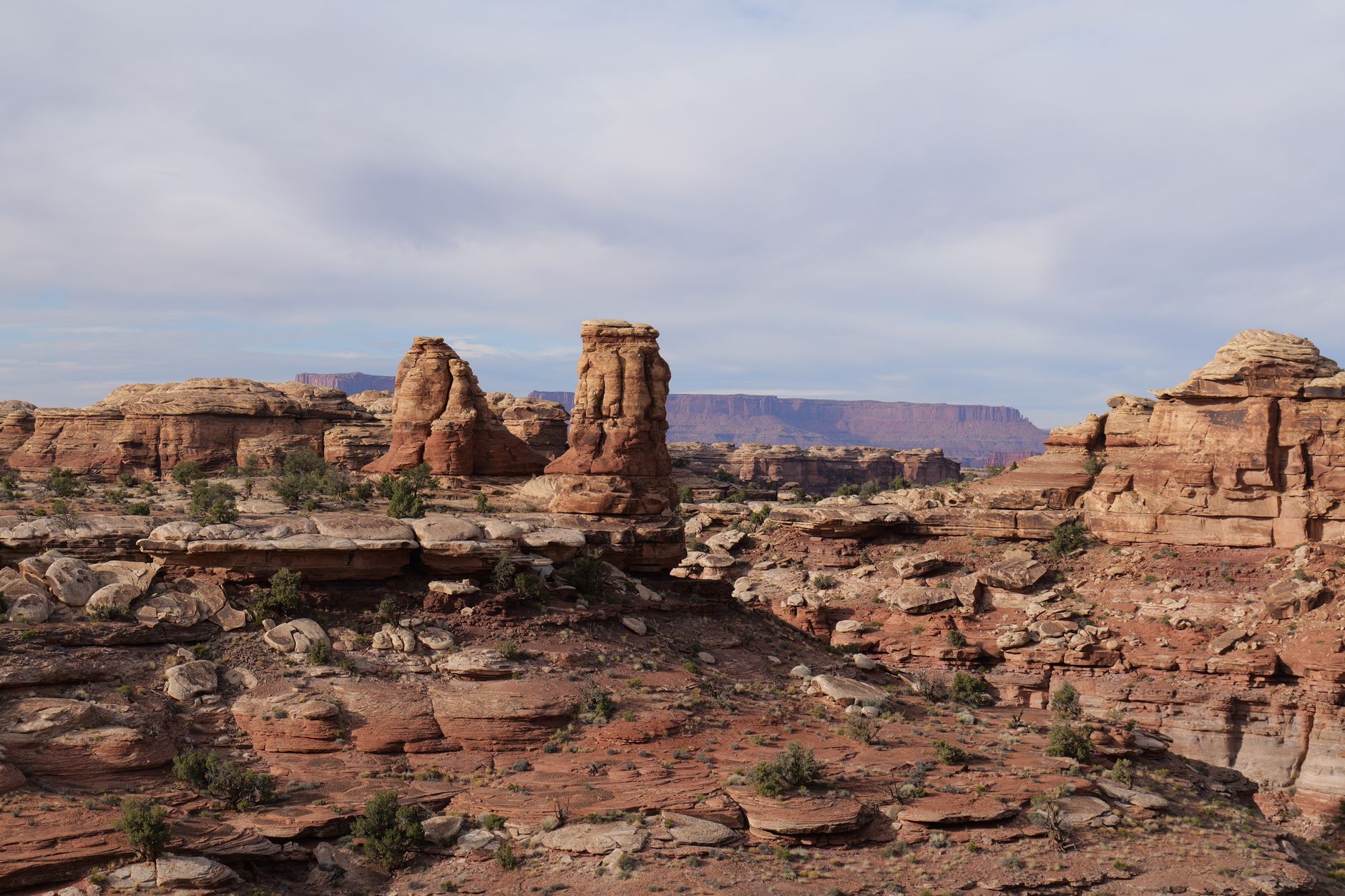 Scenic view of unique rock formations in Canyonlands National Park, Utah under a bright sky.