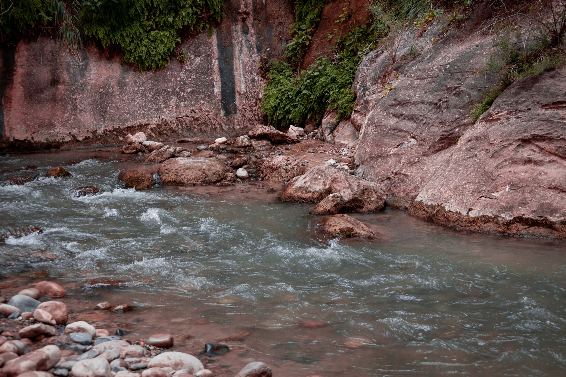 Serene view of a rocky stream flowing through a lush canyon setting, perfect for nature exploration.