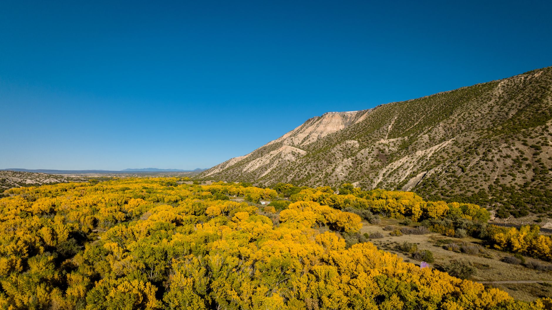 Stunning aerial view of yellow autumn foliage and mountains in Ojo Caliente, NM.