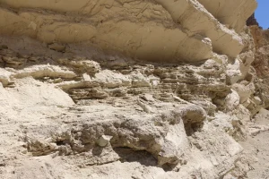 Layers of brown horizontal mud cracks coat a rocky canyon wall.