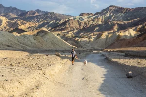A man walks a dog on a leash down a dirt road in a desert setting.