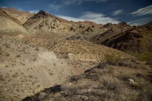 A woman running along a dirt road in a diverse desert setting.