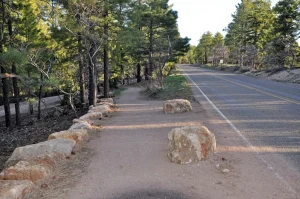 A paved footpath, with rocks lining either side, alongside a 2-lane road in a forested area.