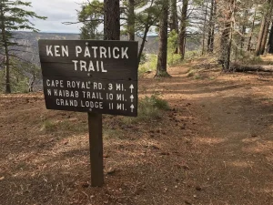 A wooden sign with white letters provides trail information next to a dirt path