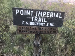 Wooden sign with white text reads, Point Imperial Trail. F.S. Boundary 2 mi. Saddle Mt Trail 2.2 mi.