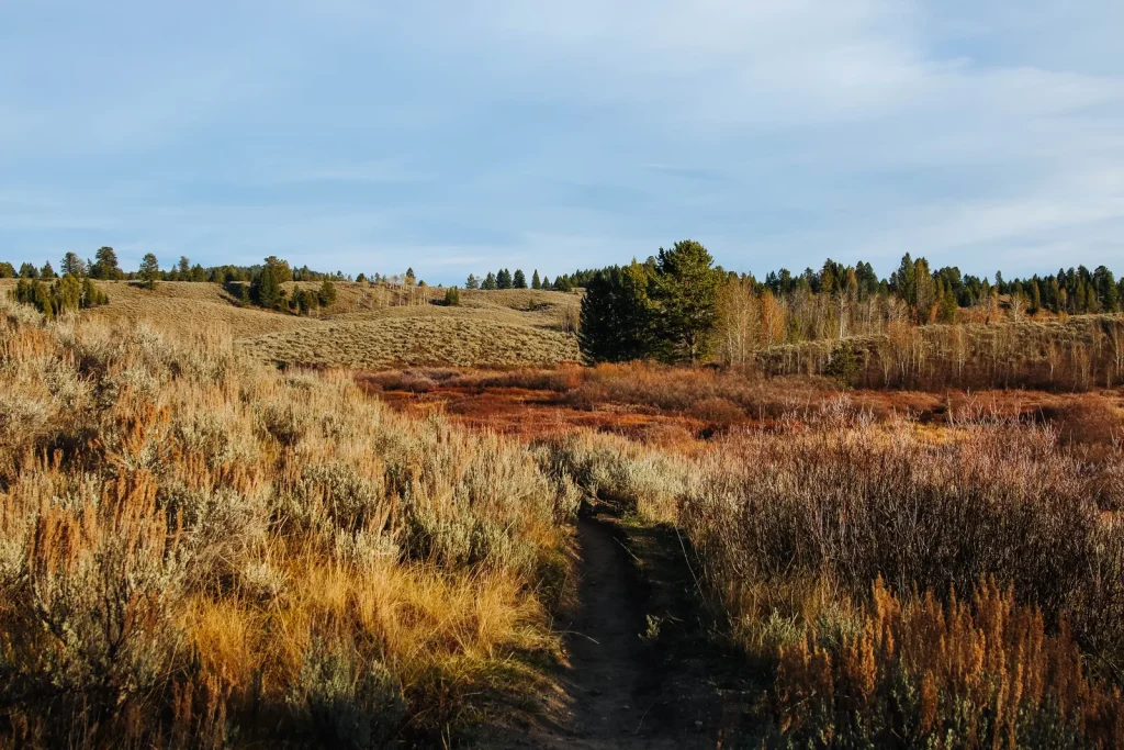 Christian Pond Loop