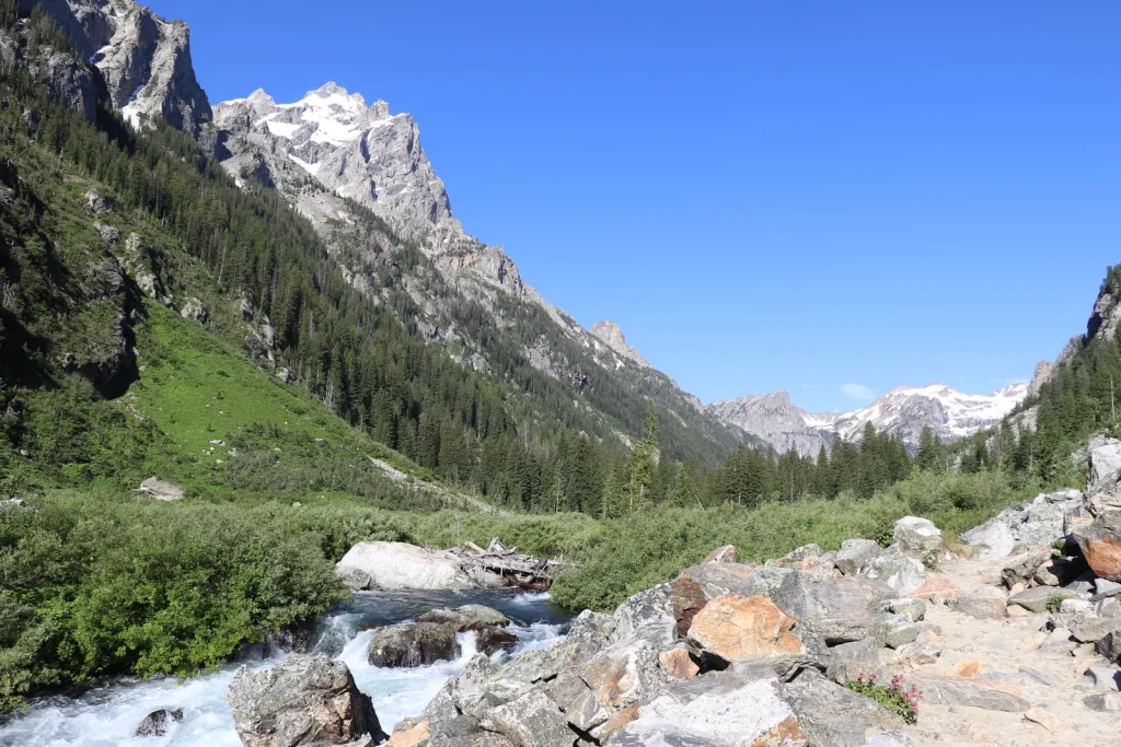 Forks of Cascade Canyon