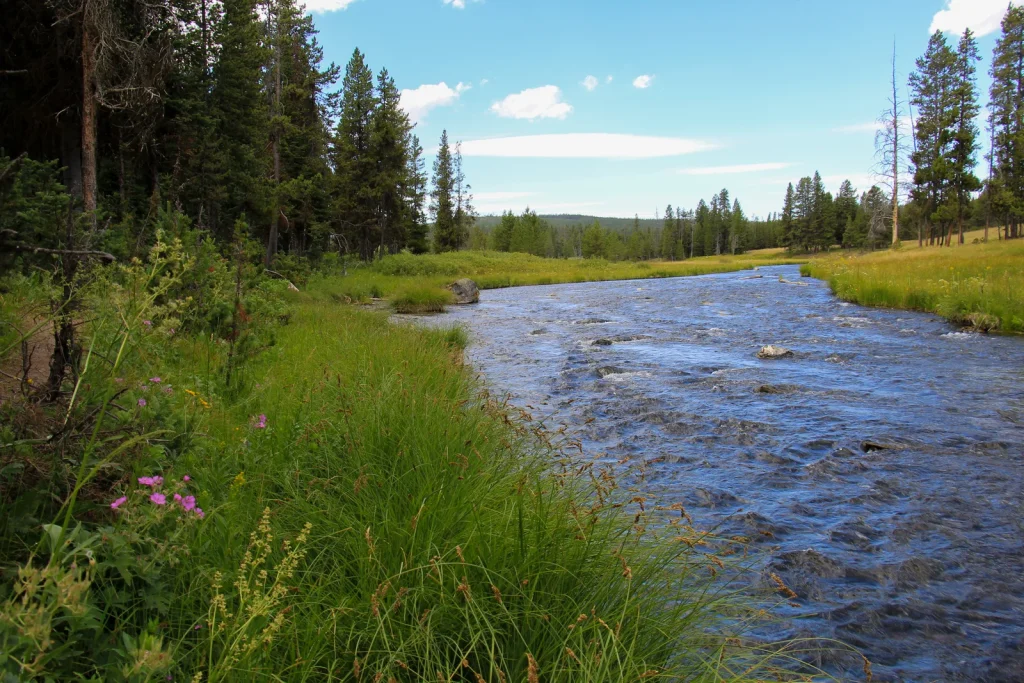 Polecat Creek Loop