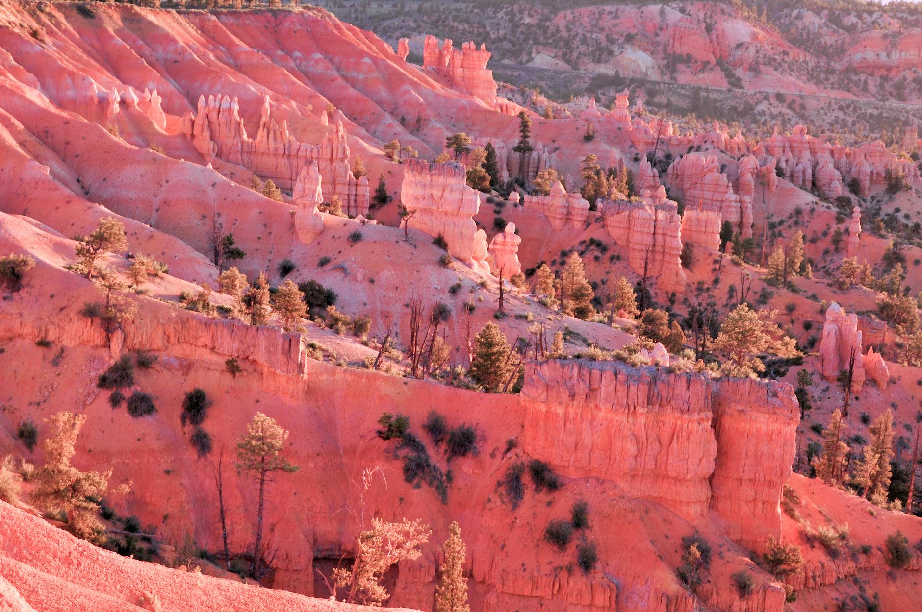 Stunning sunrise over Bryce Canyon's hoodoos showcasing vibrant, unique rock formations in Utah, USA.