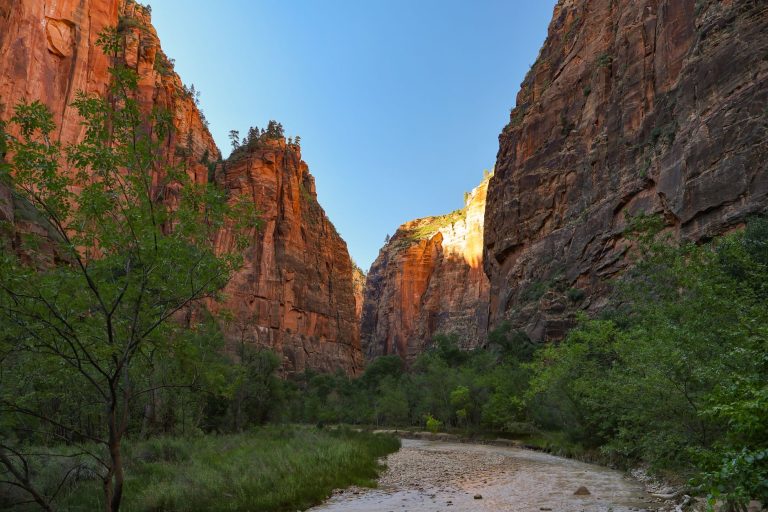 Zion National Park vs Arches National Park: Which Park Should You Visit?