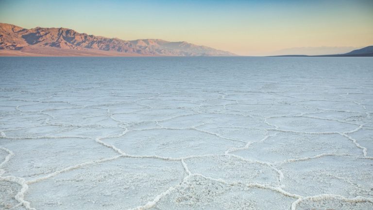 Death Valley National Park vs Joshua Tree National Park: Which Park Should You Visit?