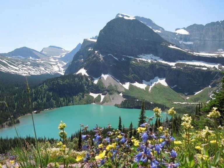 Breathtaking mountain landscape with wildflowers and a turquoise lake in Glacier National Park.