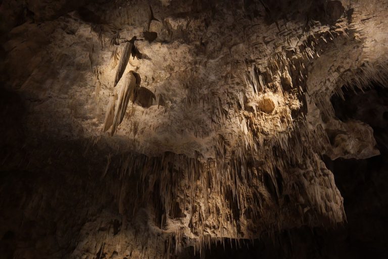 One Day in Carlsbad Caverns National Park