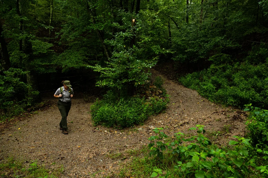 Canyon Trail