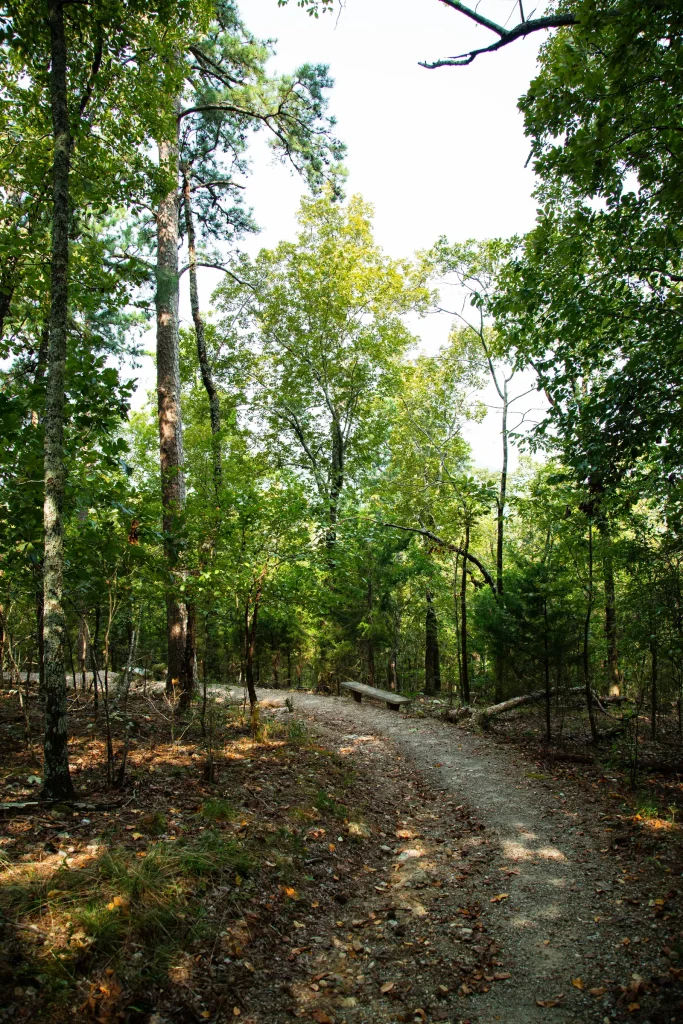 Mountain Top Trail