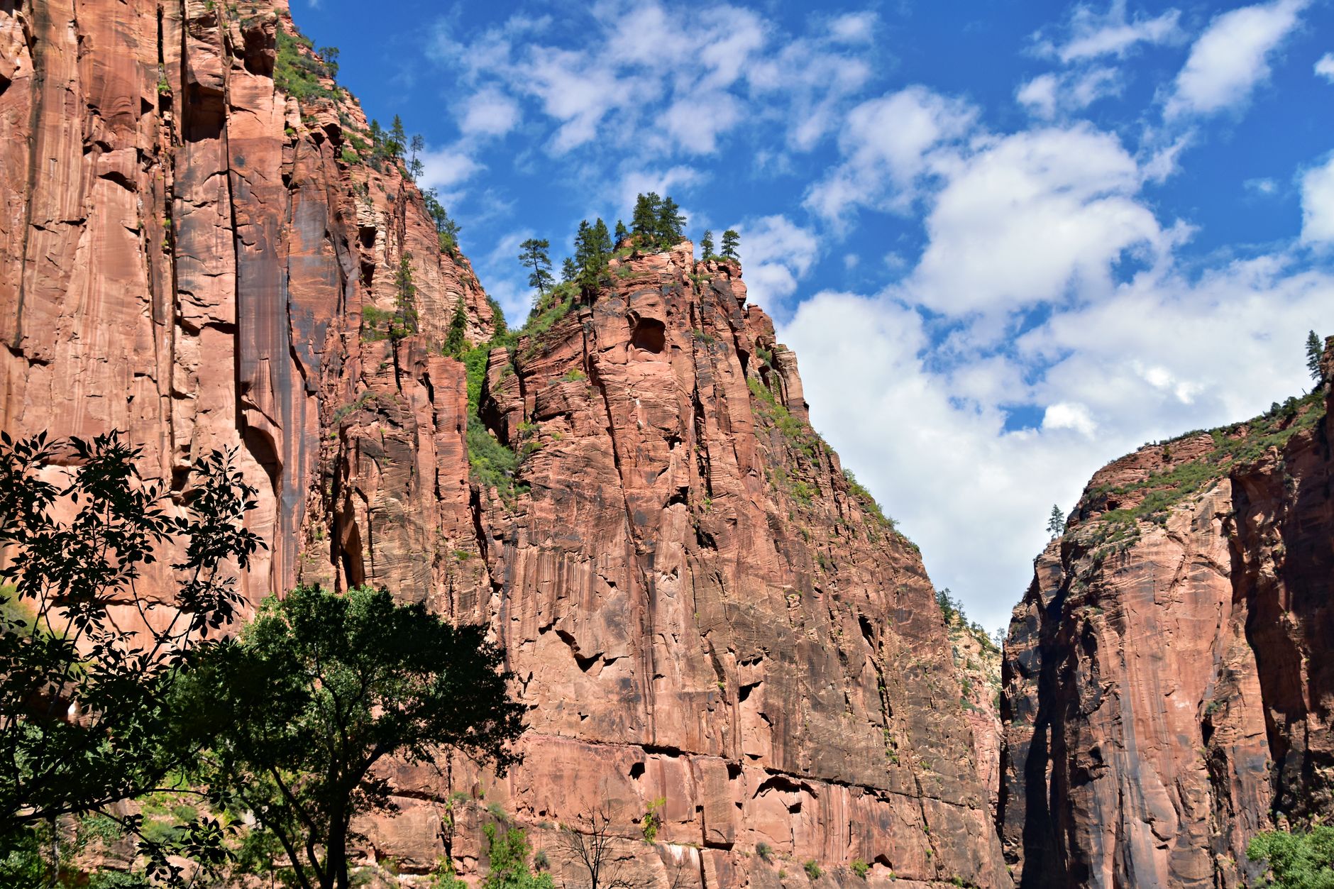 Stunning view of red rock cliffs under a clear blue sky in Zion National Park, Utah.