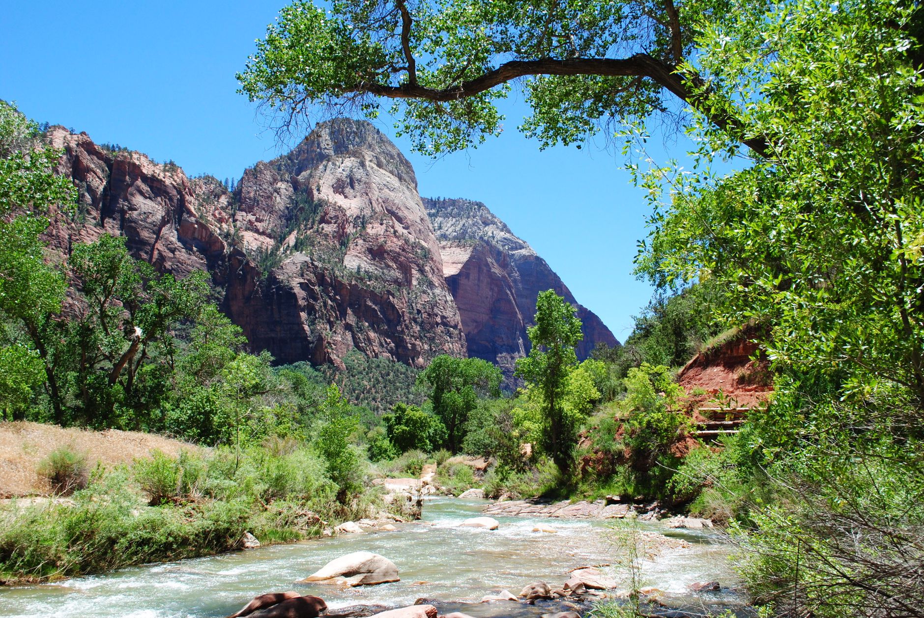 Scenic view of mountains, stream, and lush greenery at Zion National Park.