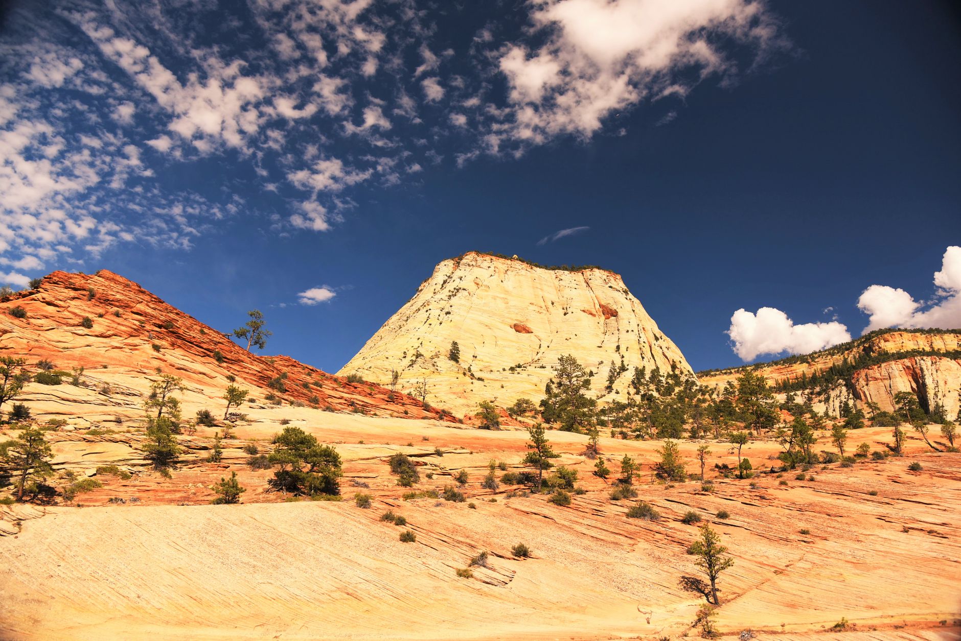 Stunning view of sandstone formations and clear sky in Zion National Park, Utah.