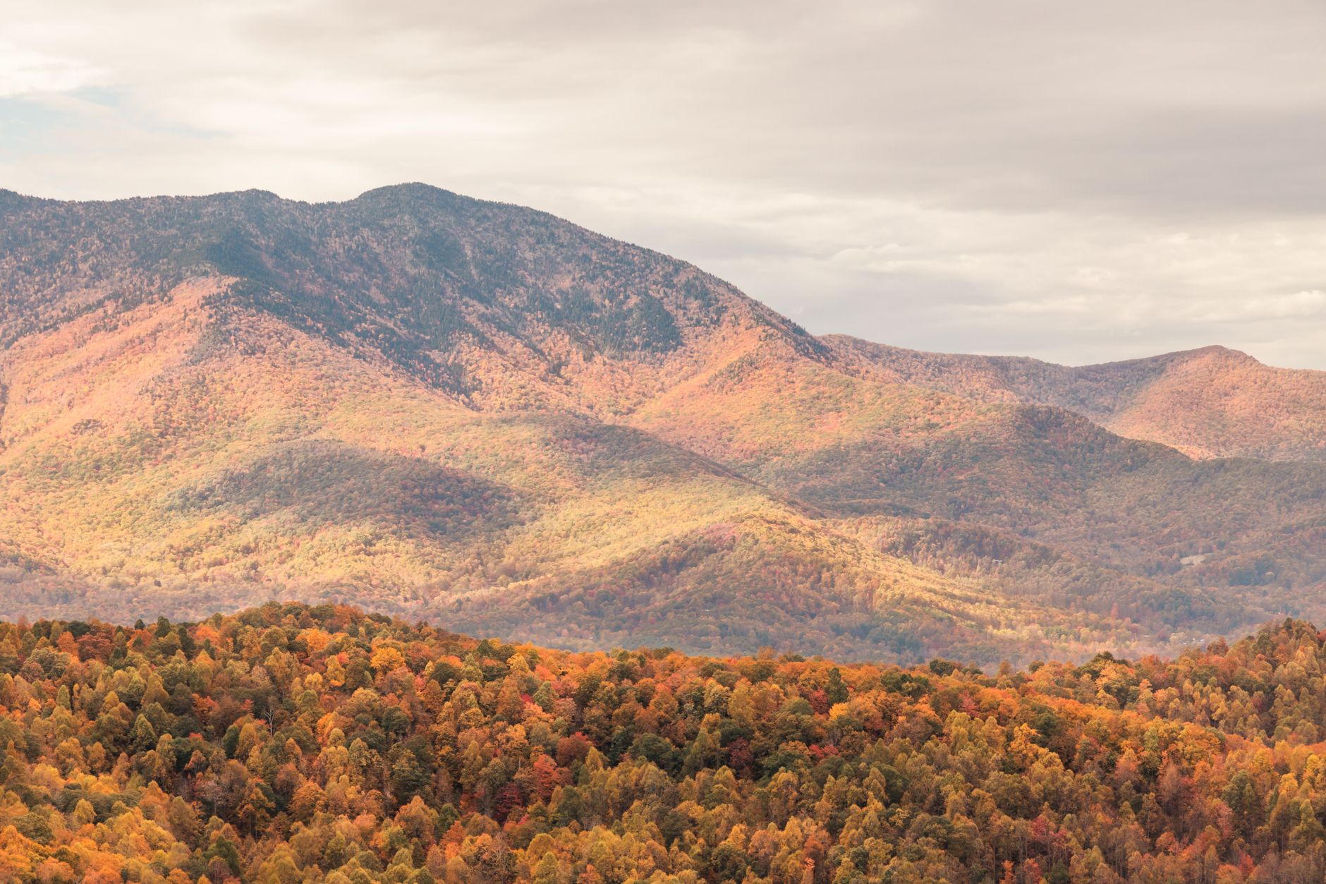 Beautiful autumn landscape of the Great Smoky Mountains with vibrant fall foliage.