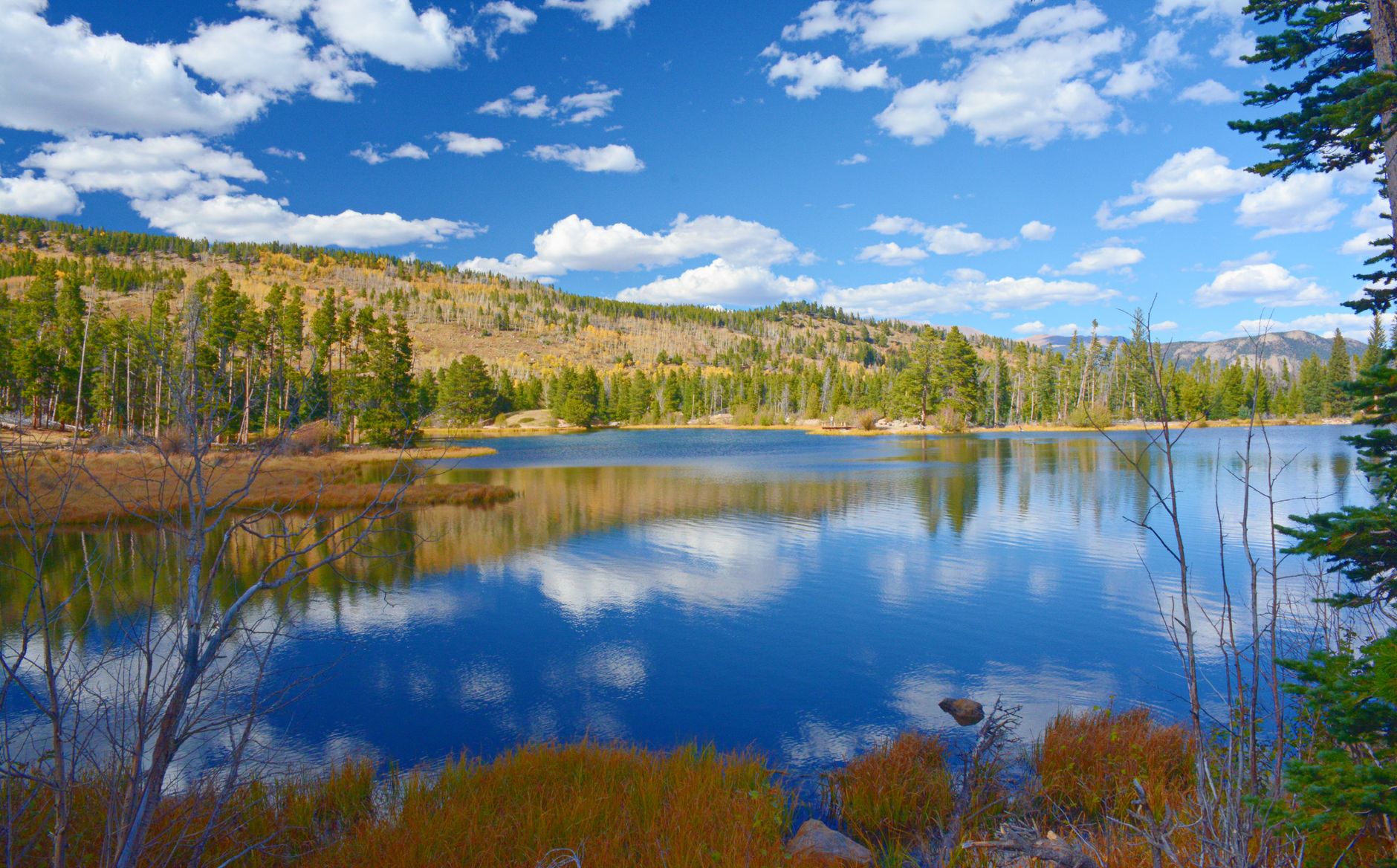 Tranquil view of Sprague Lake with vibrant autumn foliage in Rocky Mountain National Park.