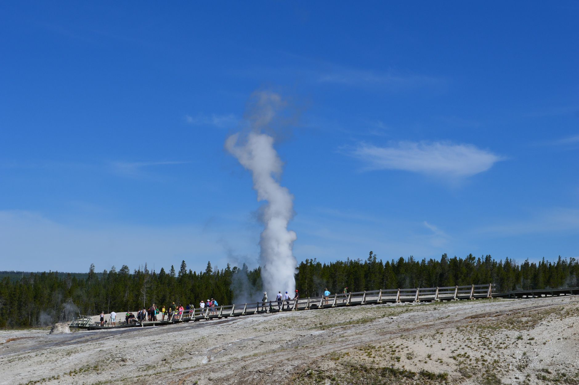 Crowd watching a geyser eruption at Yellowstone National Park under a clear blue sky.