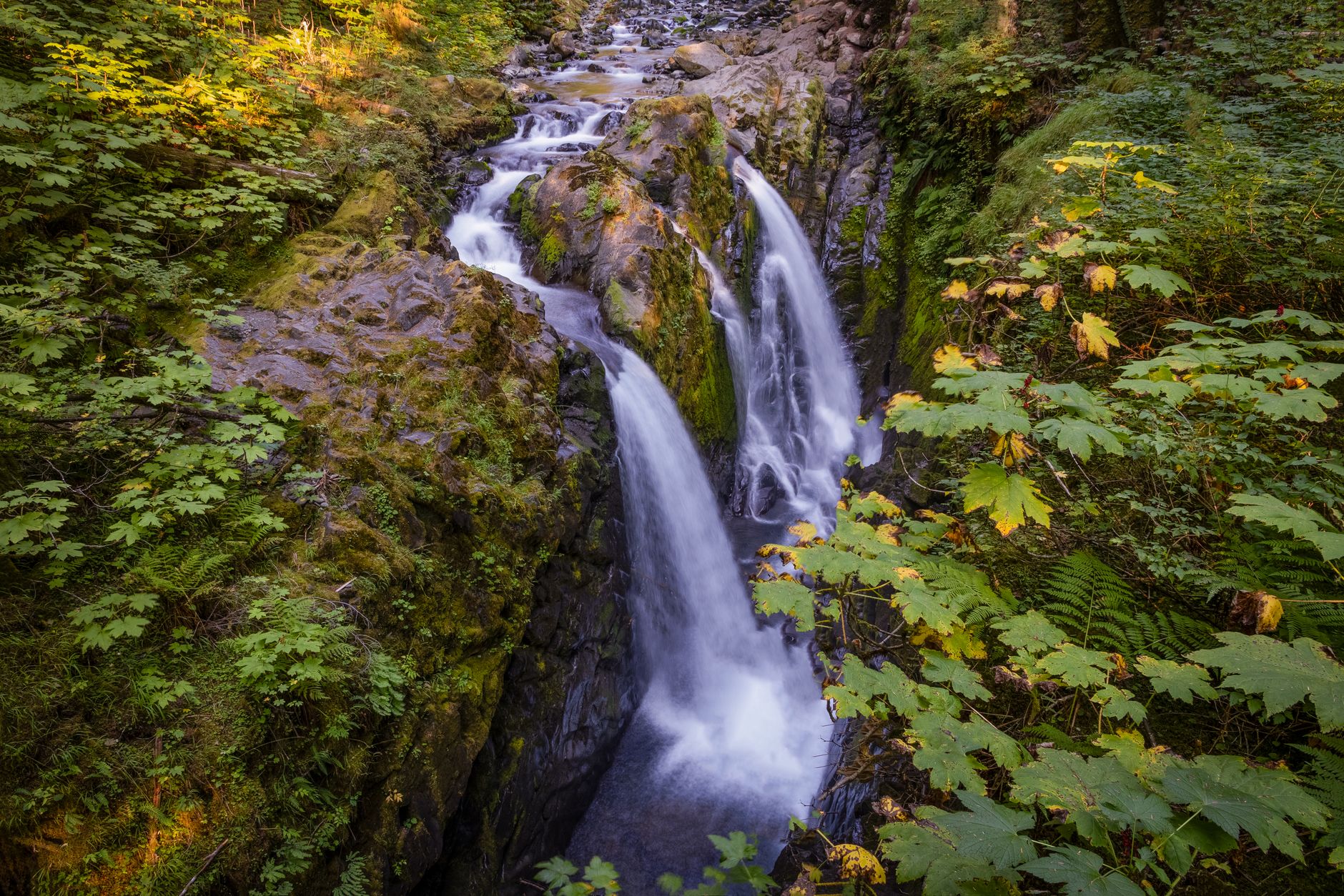 Lush green forest with a beautiful waterfall in Port Angeles, WA, captured in daylight.