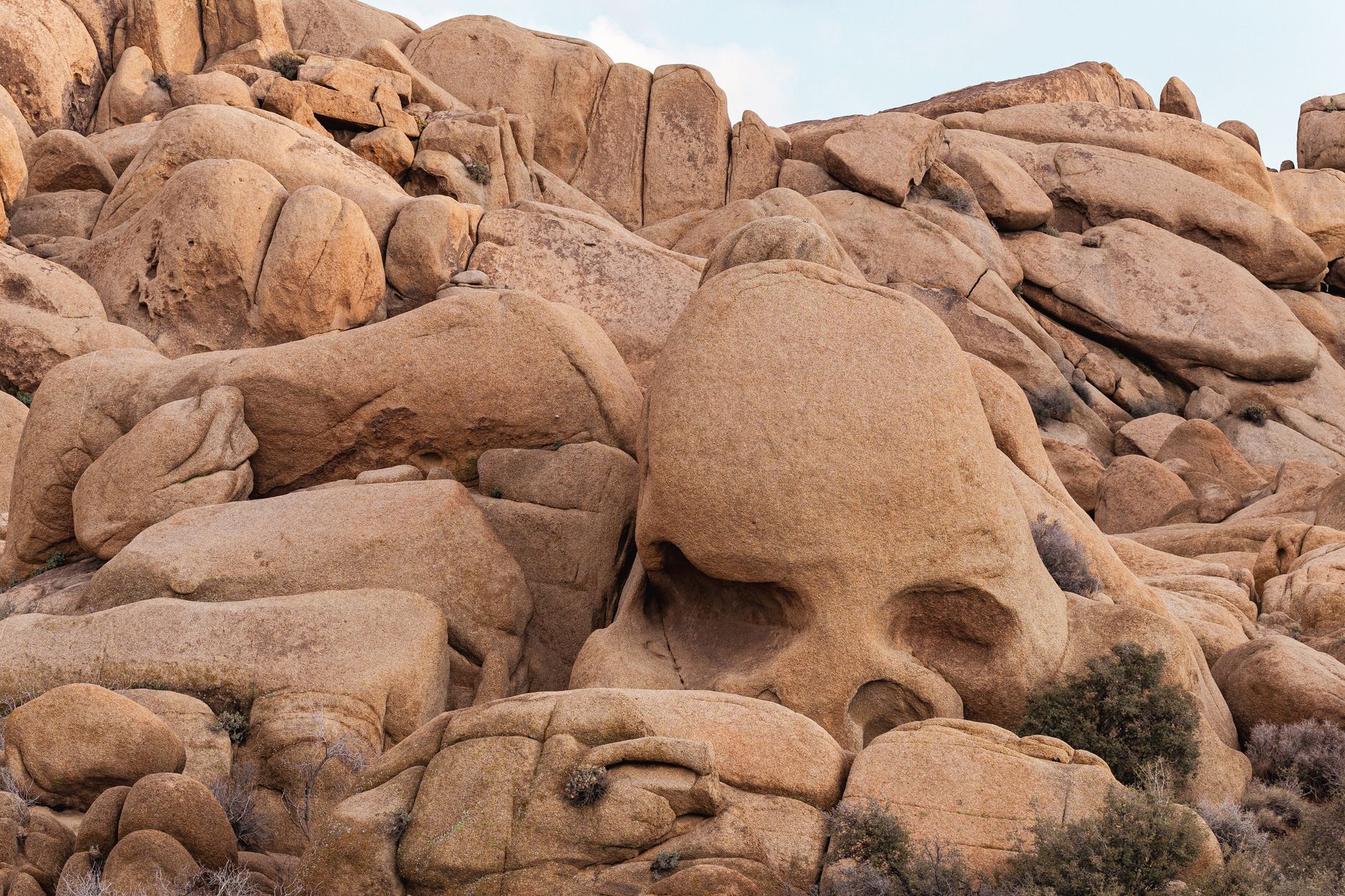 Explore the unique Skull Rock in Joshua Tree's desert landscape.