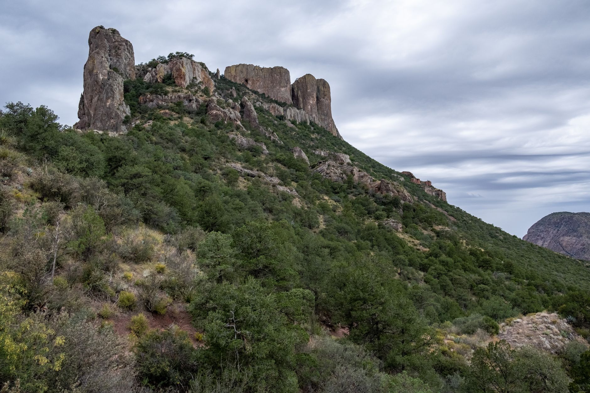 Breathtaking view of Casa Grande Peak at Big Bend National Park with lush greenery and rocky formations.