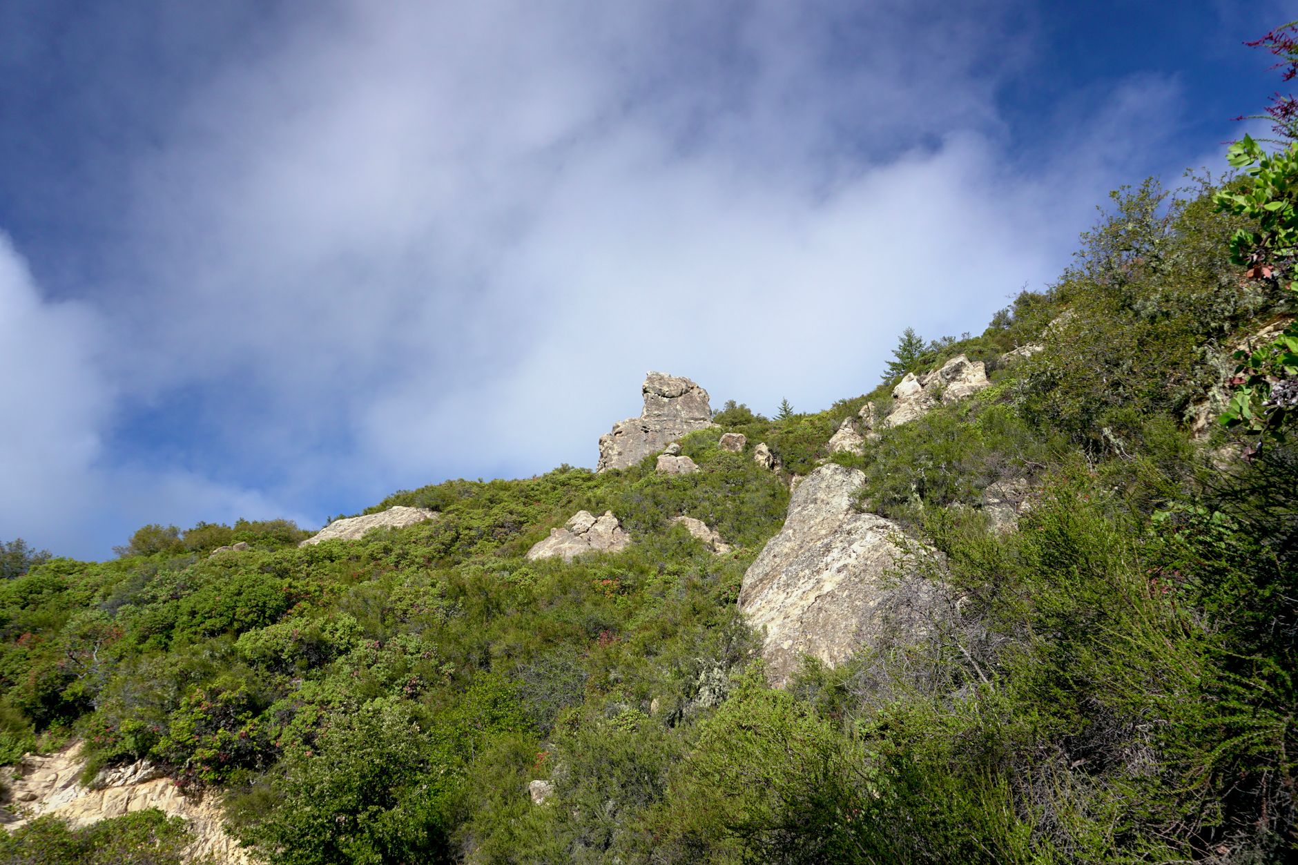 Scenic view of rocky hillside with greenery under a vibrant blue sky in Santa Cruz, California.