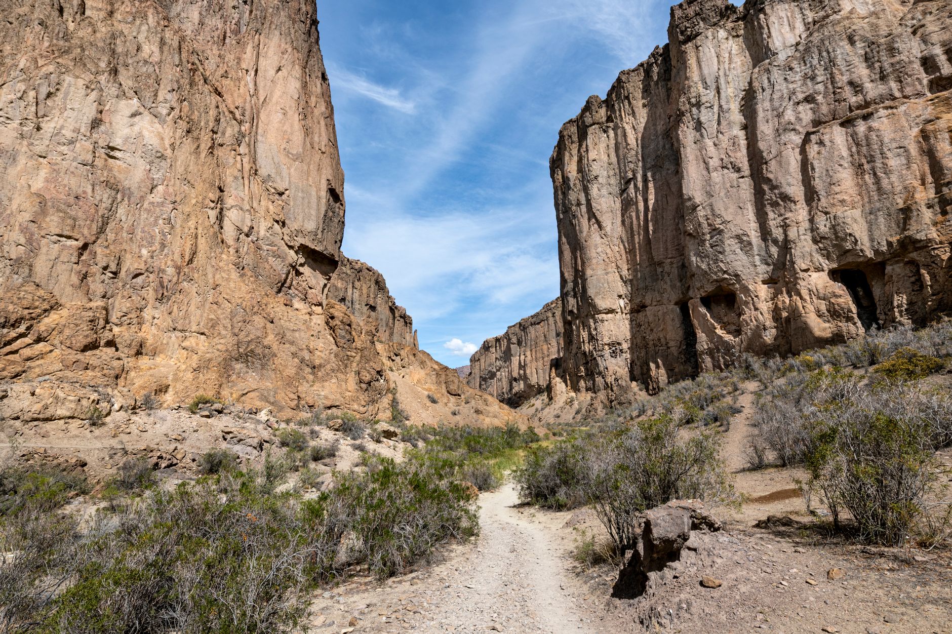 Explore a stunning canyon landscape with towering rock formations and a clear blue sky overhead.
