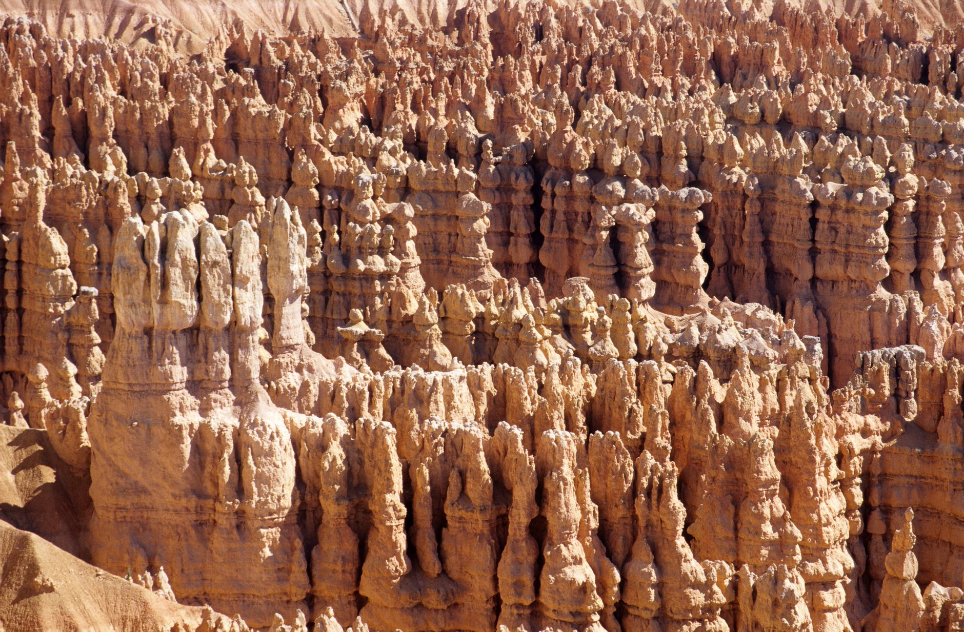 Stunning view of hoodoos in Bryce Canyon National Park, showcasing eroded rock formations.