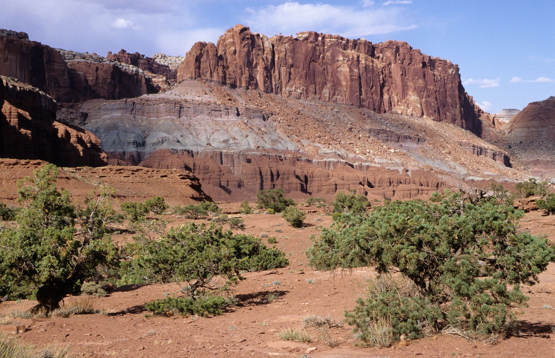 Stunning geological formations and desert vegetation in a Utah canyon landscape during daylight.