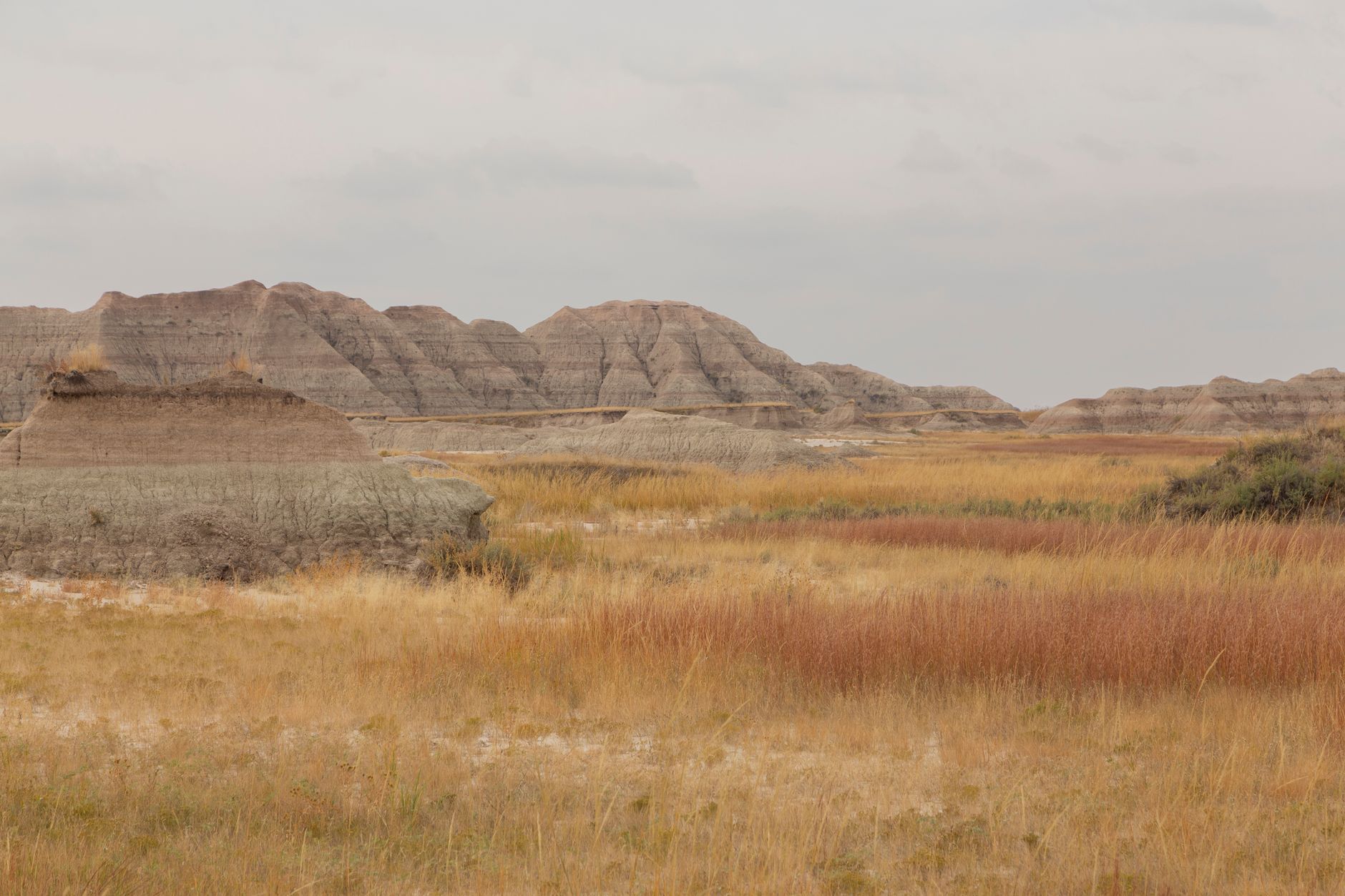 Explore the stunning landscapes of Badlands National Park with golden fields and rugged cliffs.