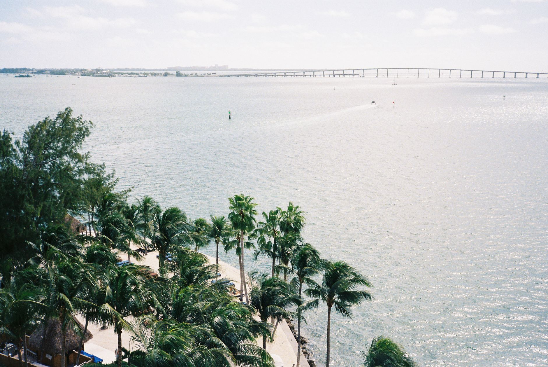 Aerial view of palm-lined Biscayne Bay and bridge in sunny Miami, Florida.