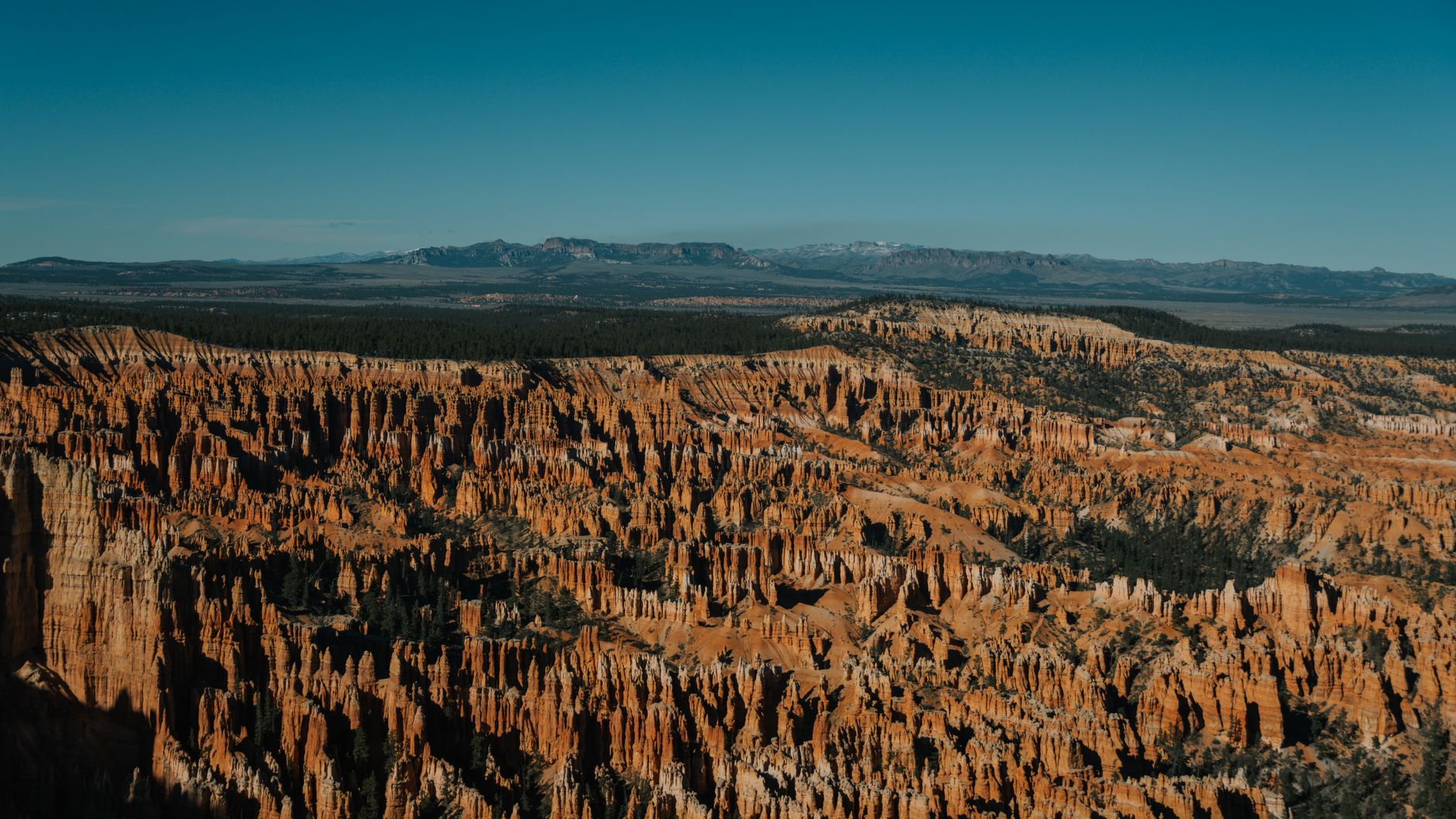 Explore the majestic hoodoos of Bryce Canyon National Park, Utah in stunning detail.