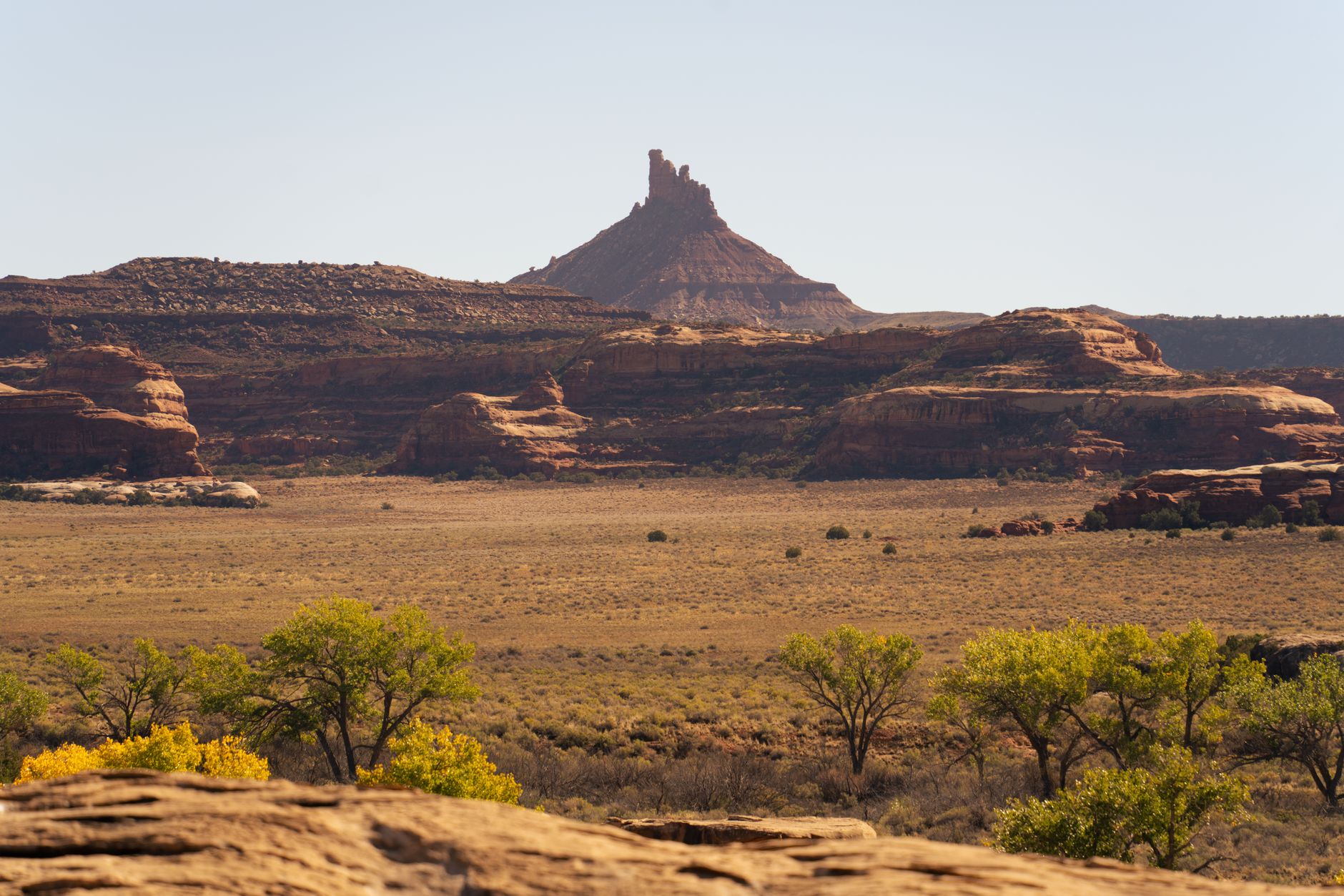 Breathtaking view of the desert landscape in Canyonlands National Park, Utah, showcasing towering rock formations and sprawling plains.