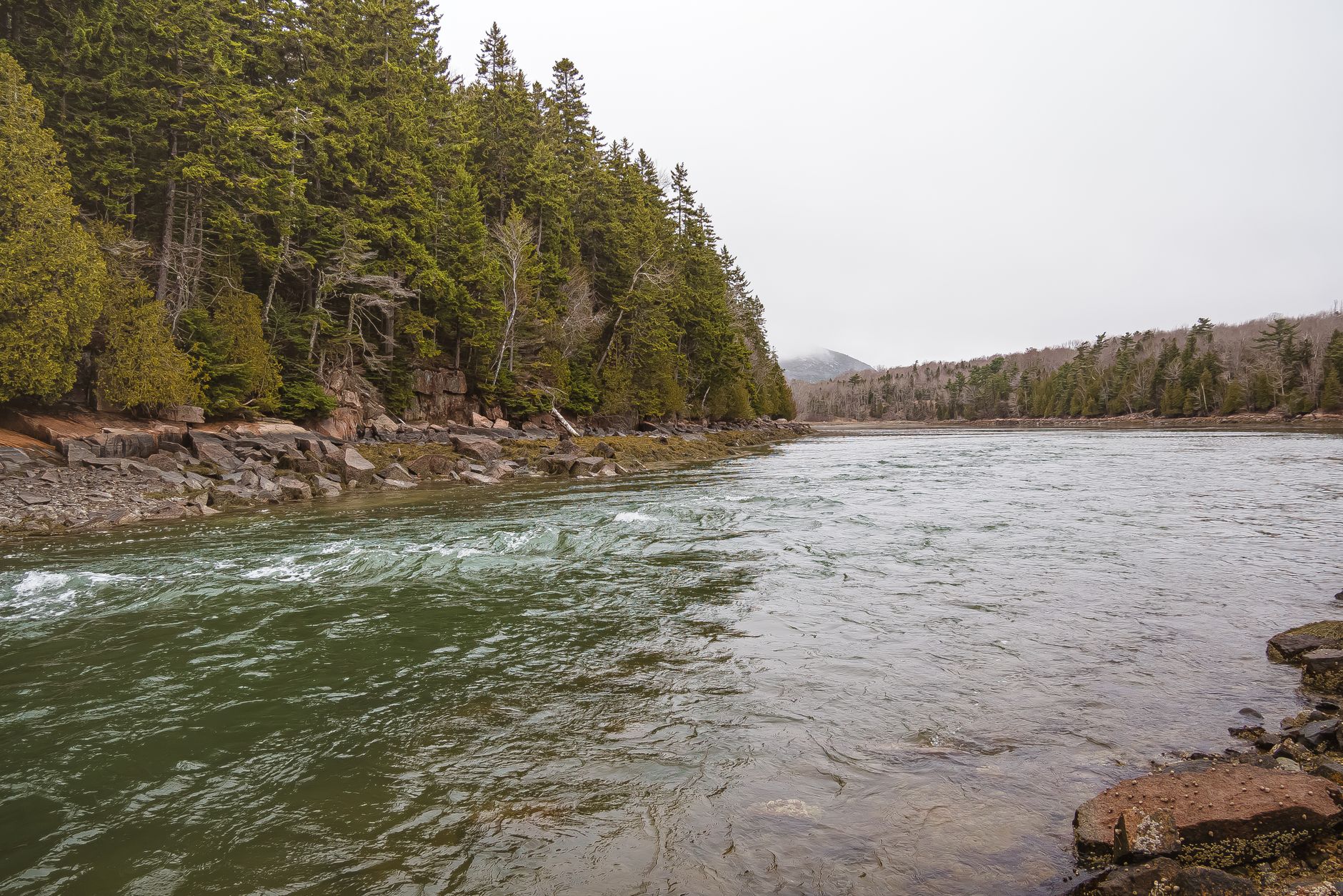Serene river flowing through lush green forests in Acadia National Park, Maine.
