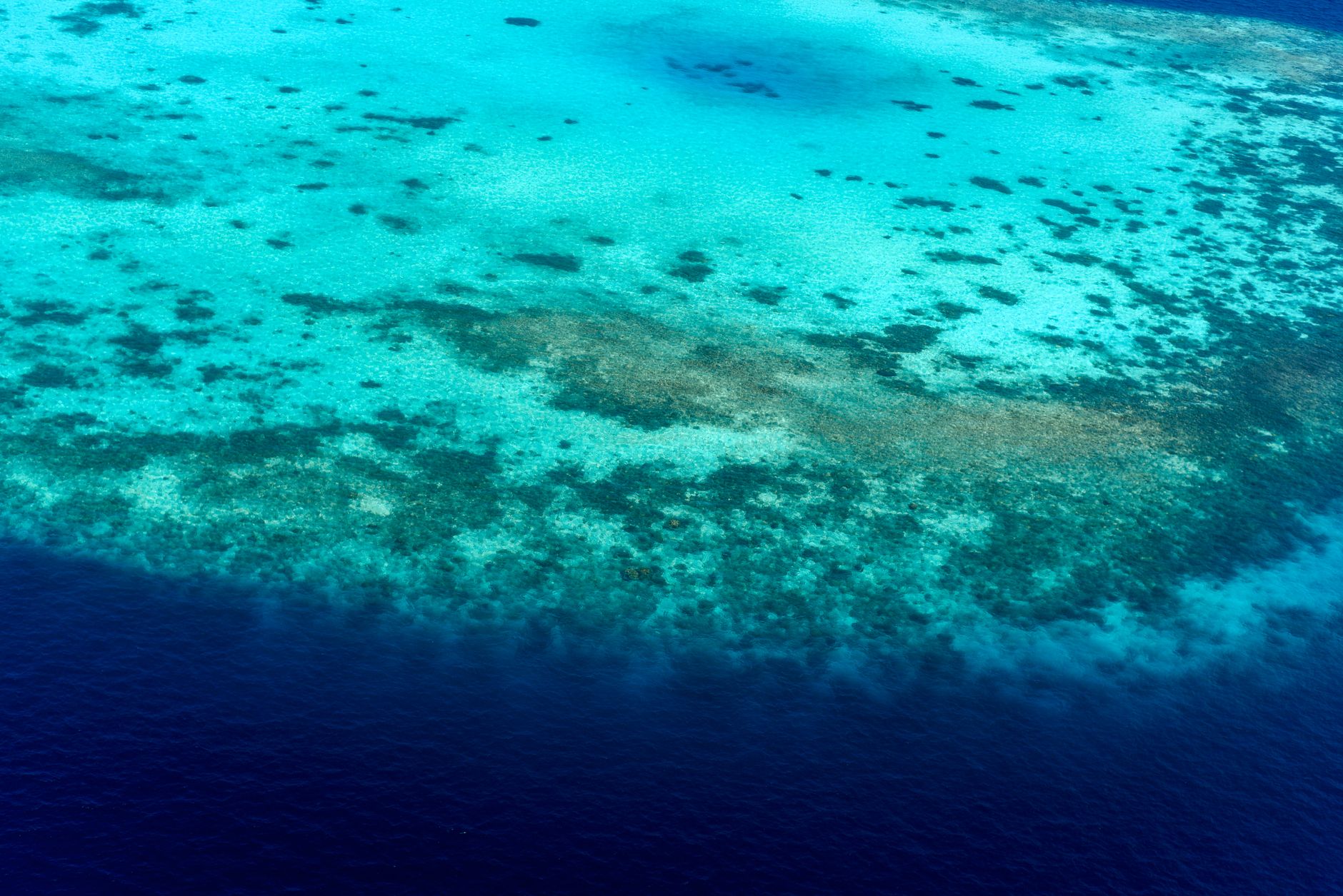 Stunning aerial view of a vibrant turquoise coral reef in the tropical ocean.